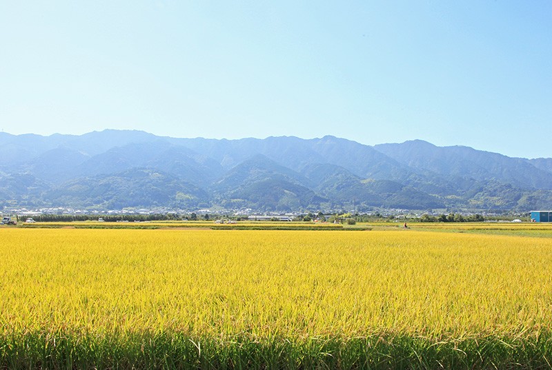 耳納連山