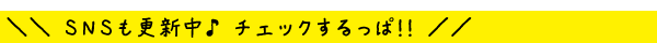 SNSも更新中♪チェックするっぱ！