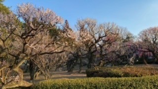 梅林寺(2)