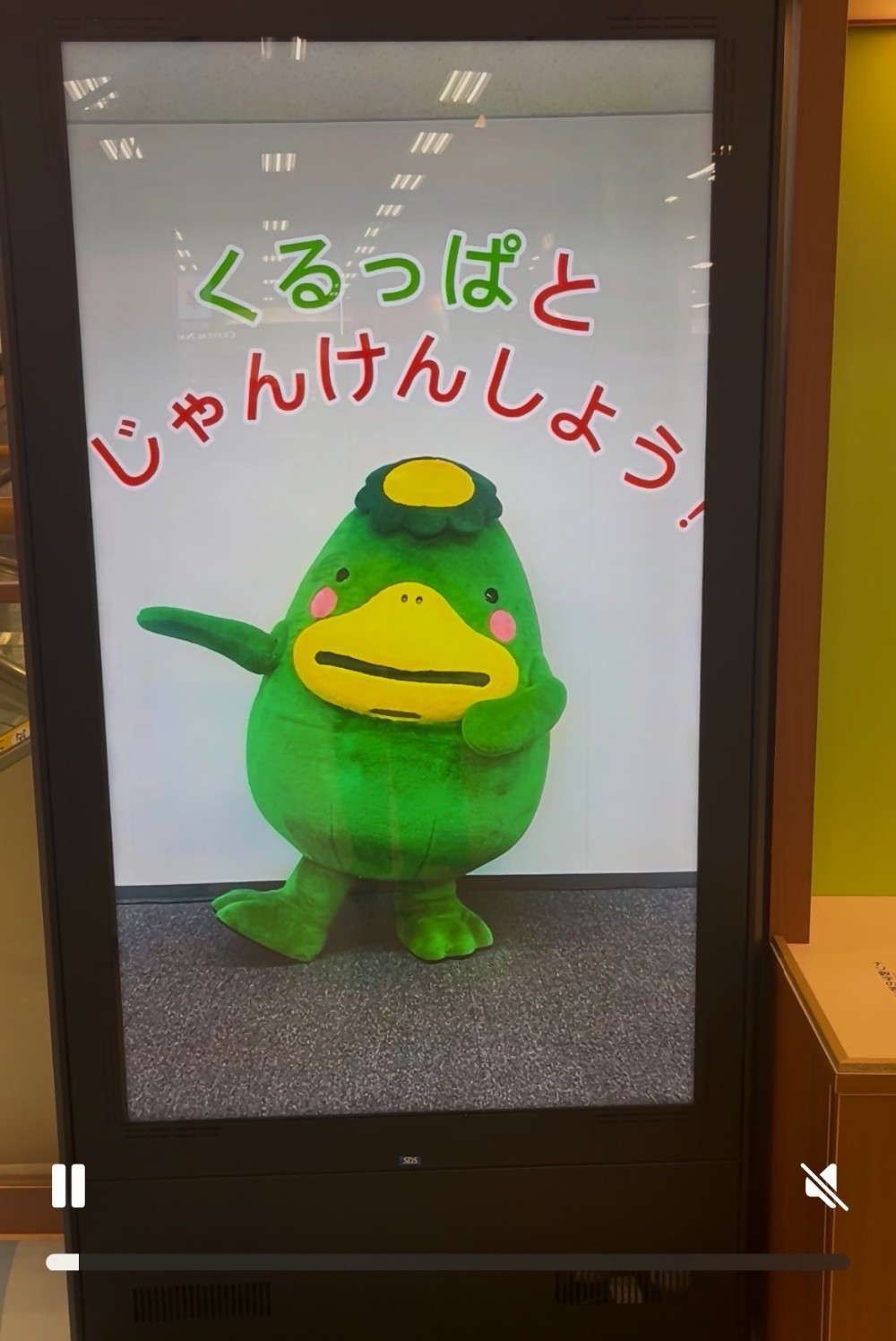 IMG_2161.JPG←サイネージ