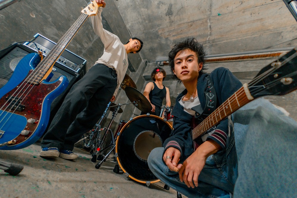 フェス(7)（奥歯）